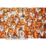 (image for) Fox Family